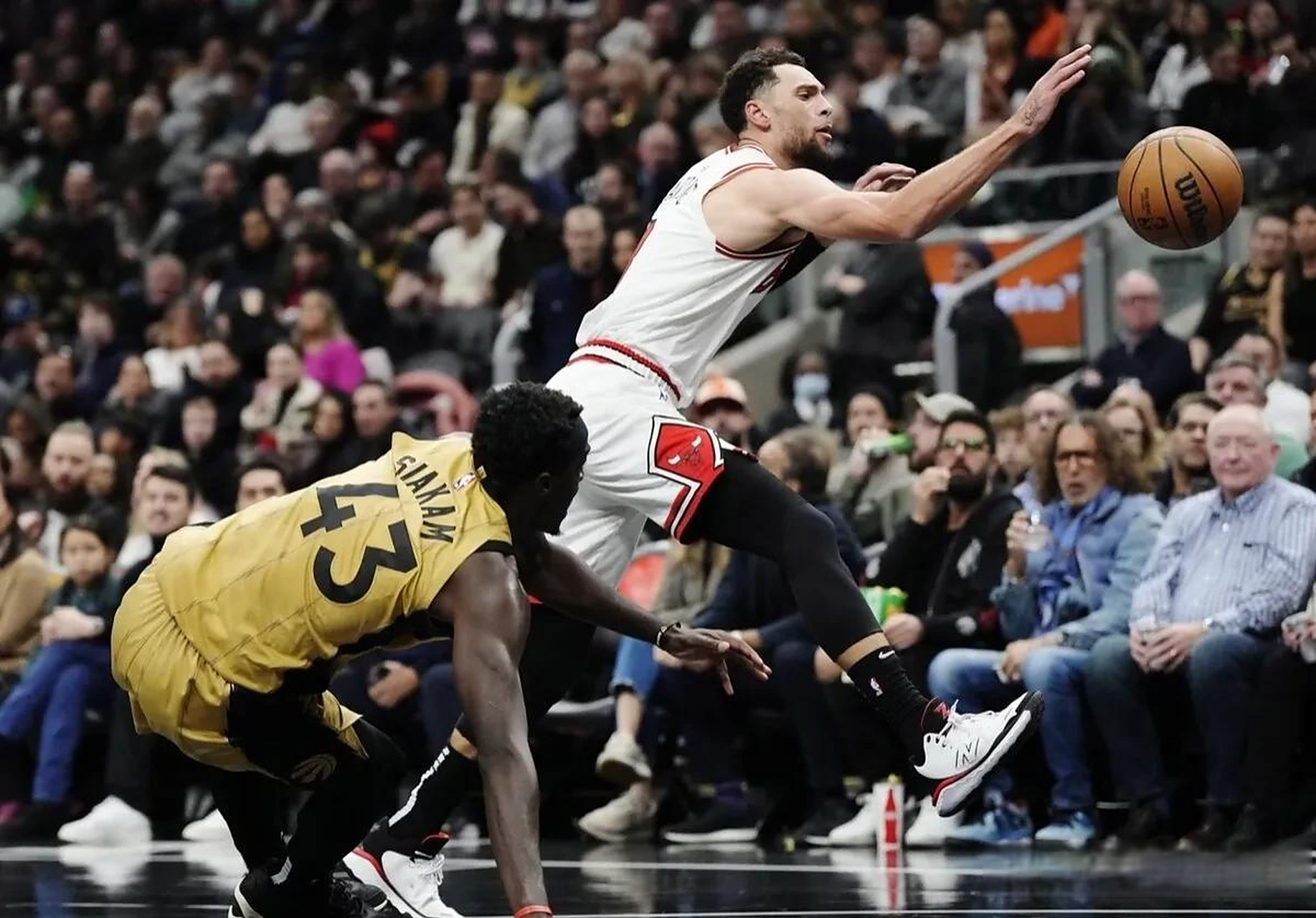窗口期NBA常规赛传出新动向，多伦多猛龙扳平良机，管理层表态：震撼外界，心理建设被强调的简单介绍
